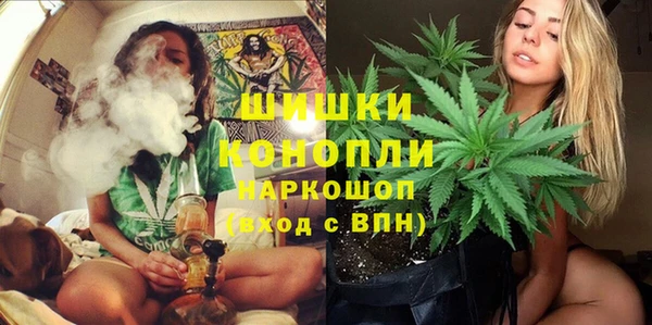молекула духа Зерноград
