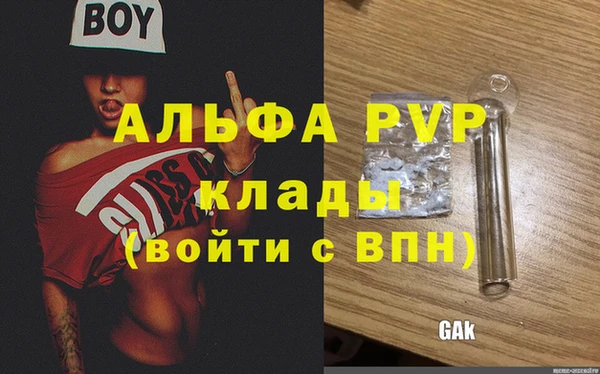 твердый Инта