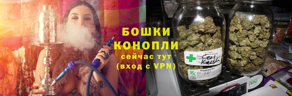 молекула духа Зерноград