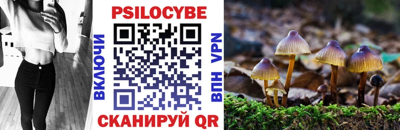 Купить закладки  Опочка  Галлюциногенные грибы Psilocybe 